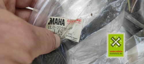 IMG_20230824_132704